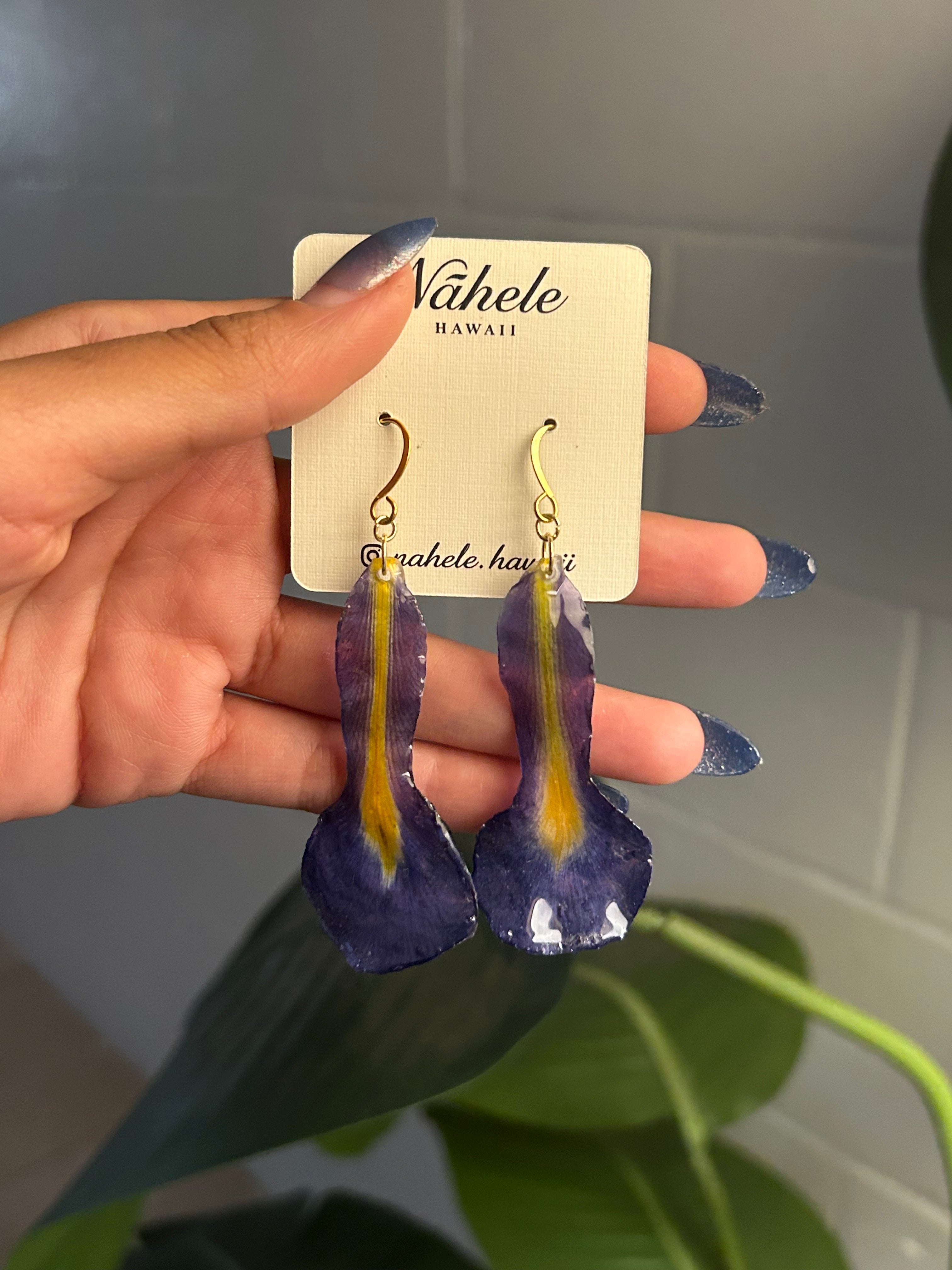 Blue Iris