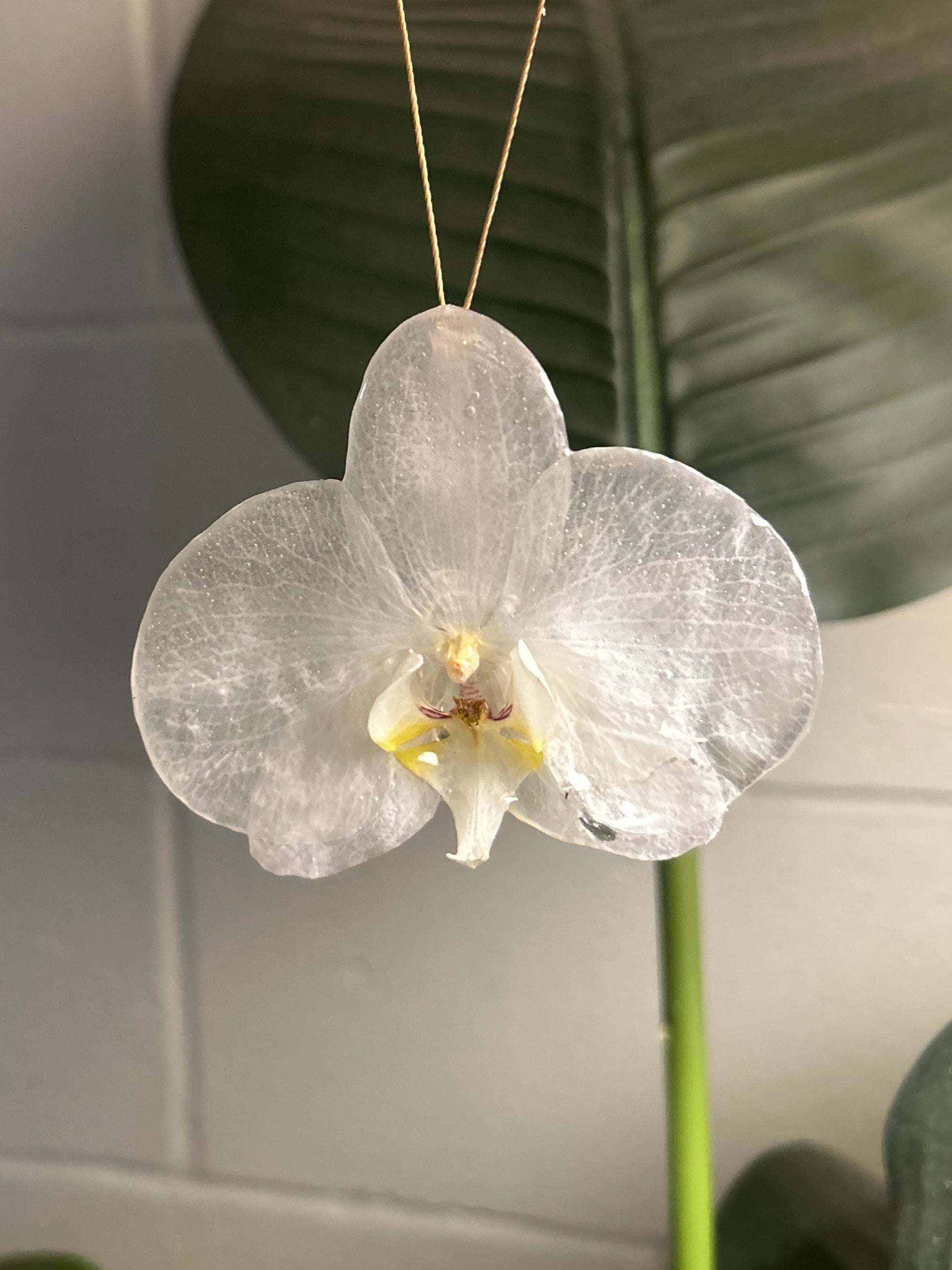 Large White Orchid Necklace