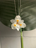 African Iris Necklace