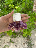 Purple Orchid